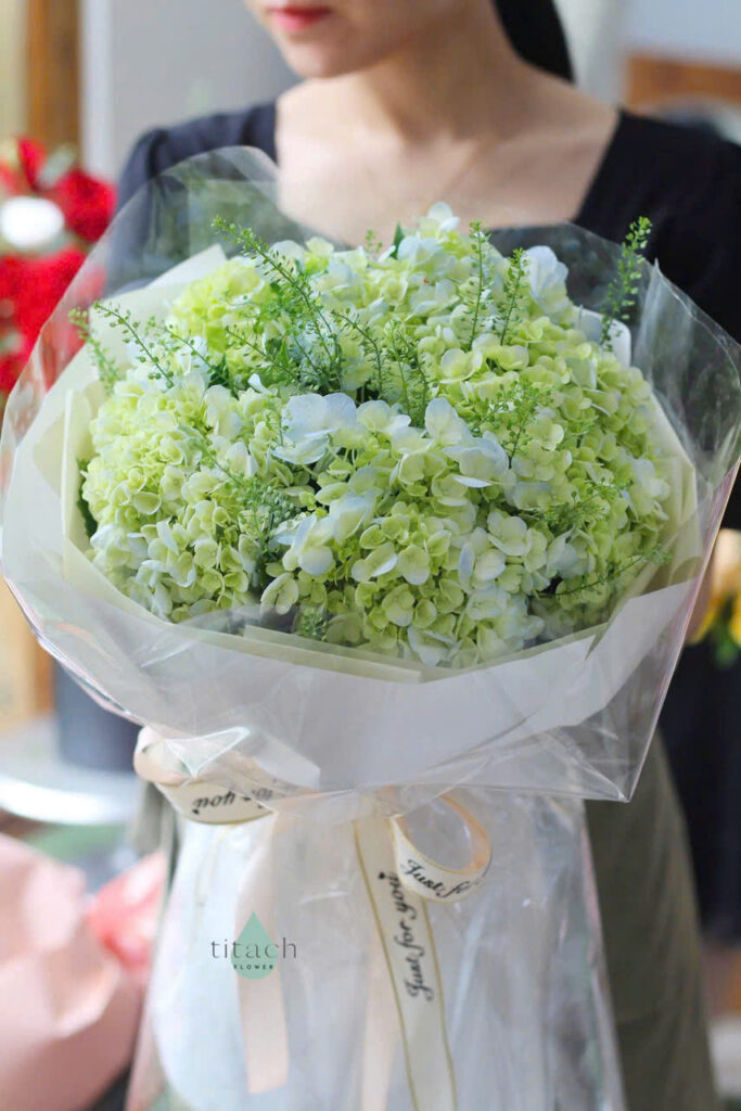 bo cam tu cau xanh la tron