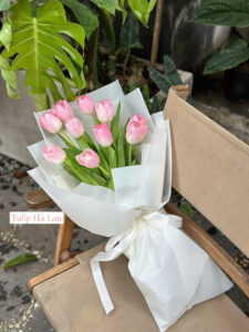 bo hoa tulip ha lan tone hong