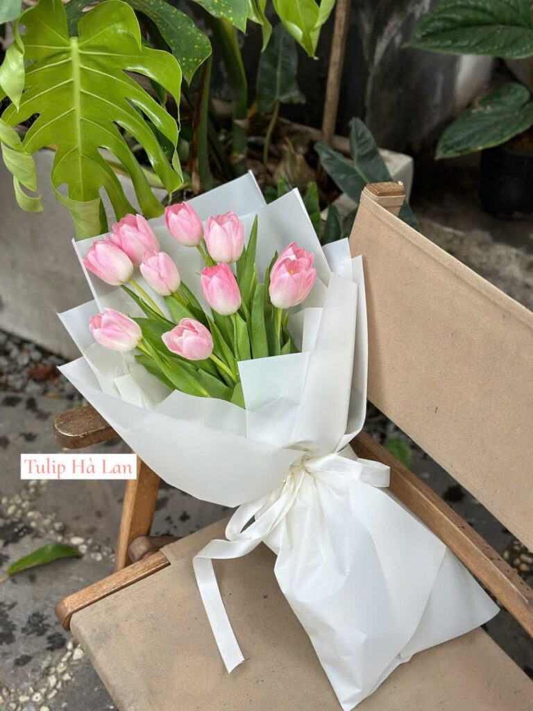 bo hoa tulip ha lan tone hong
