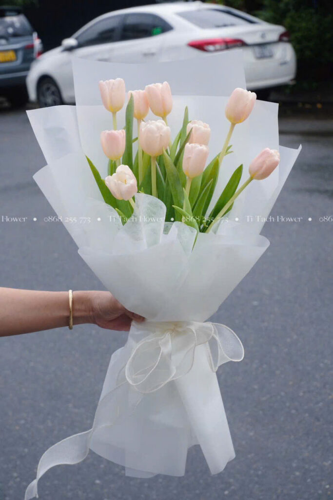 bo hoa tulip hong cam