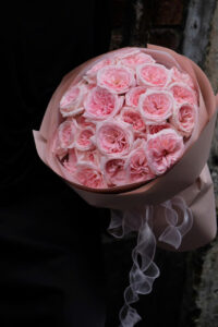 bo hong ohara tron giay hong