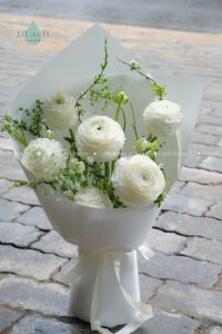 hoa bo mao luong trang