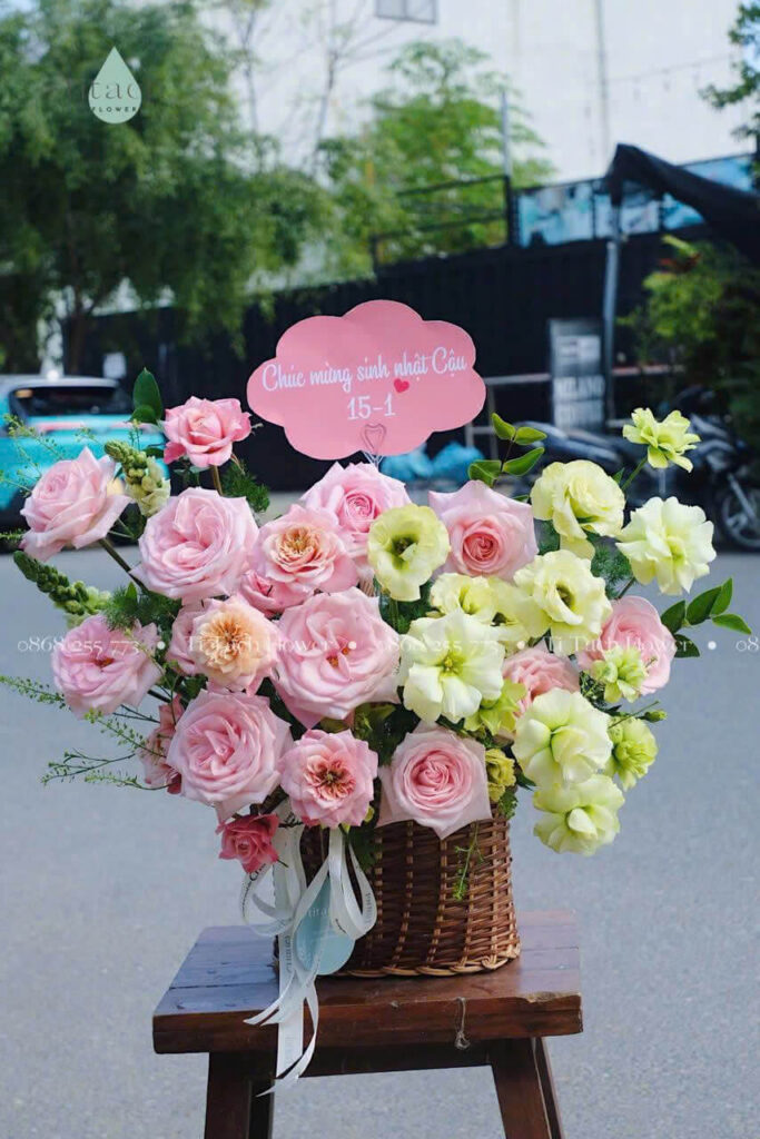 hoa hong ohara mix cat tuong xanh