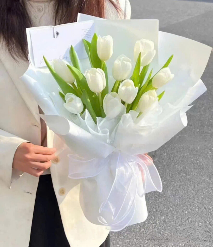 hoa tulip trang giay trang hoa tulip trang giay trang