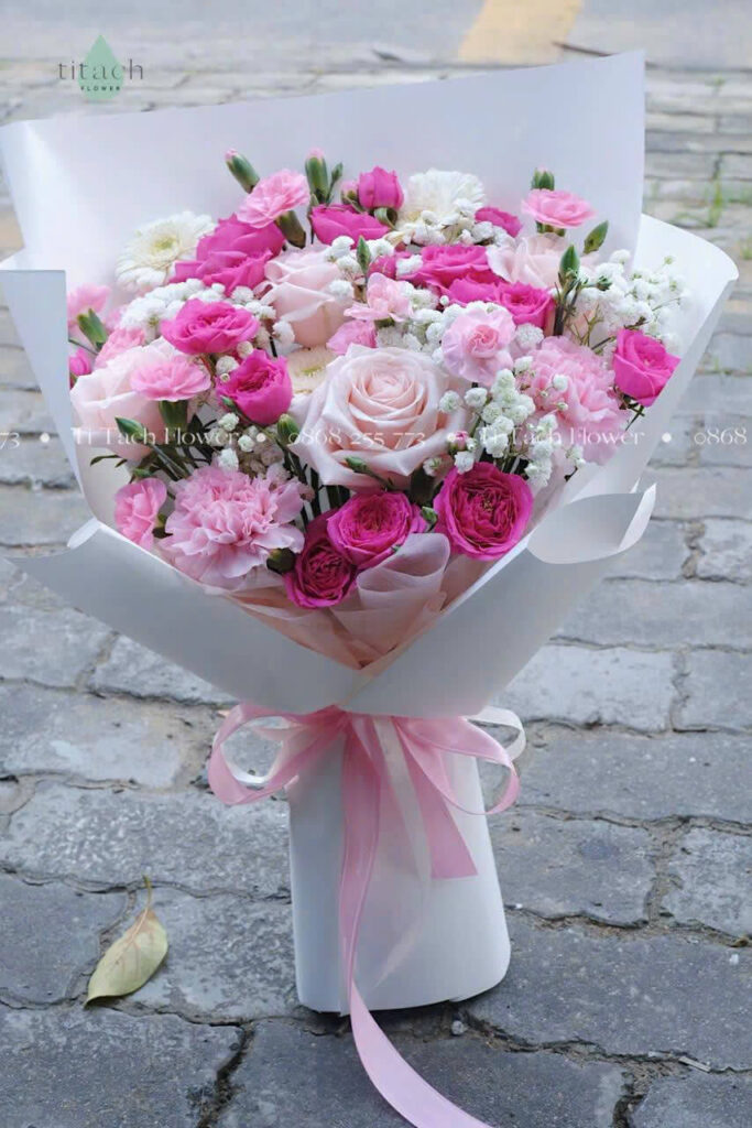 hong mix sophia hong mix sophia