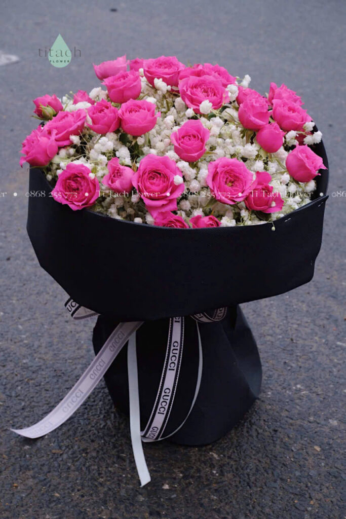 hoa bo sophia mix baby